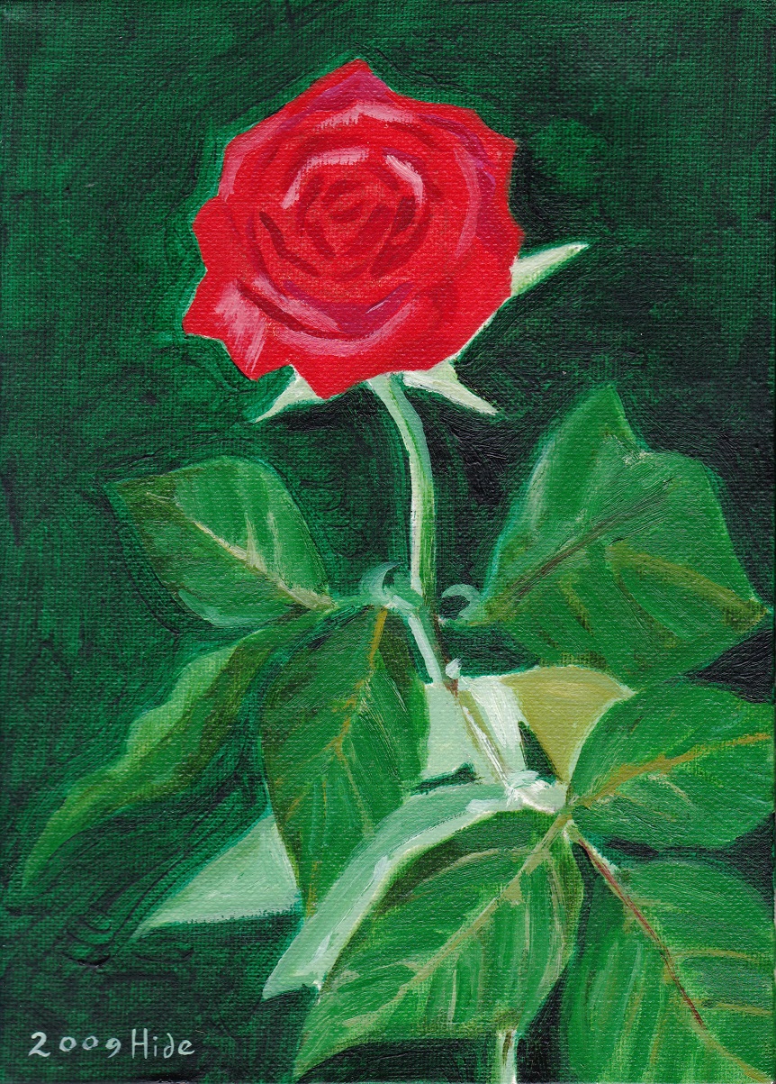 六月の薔薇